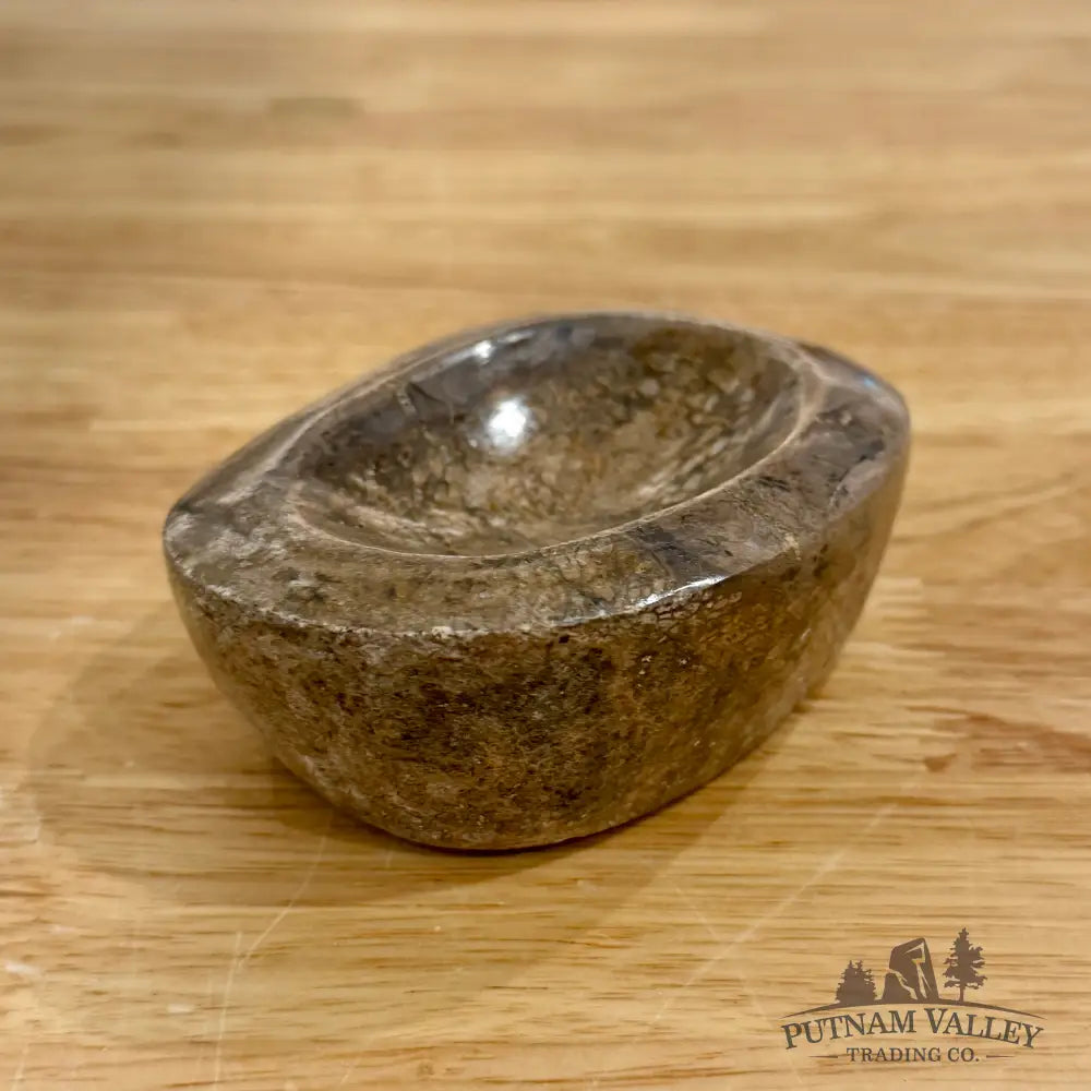 Fossilized Dinosaur Bone Bowl 3.8’’ - Fossil Bowl