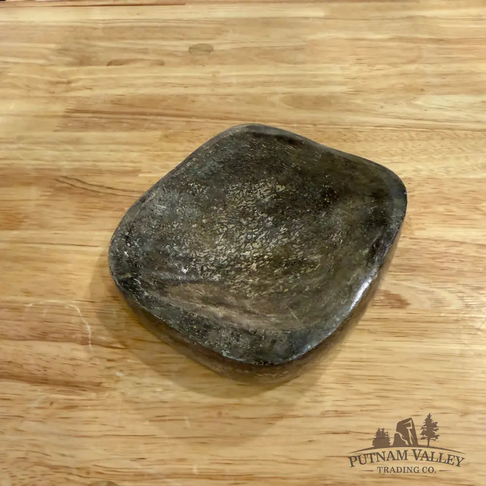Fossilized Dinosaur Bone Bowl 4.9’’ - Fossil Bowl