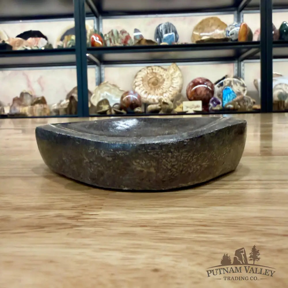 Fossilized Dinosaur Bone Bowl 4.9’’ - Fossil Bowl