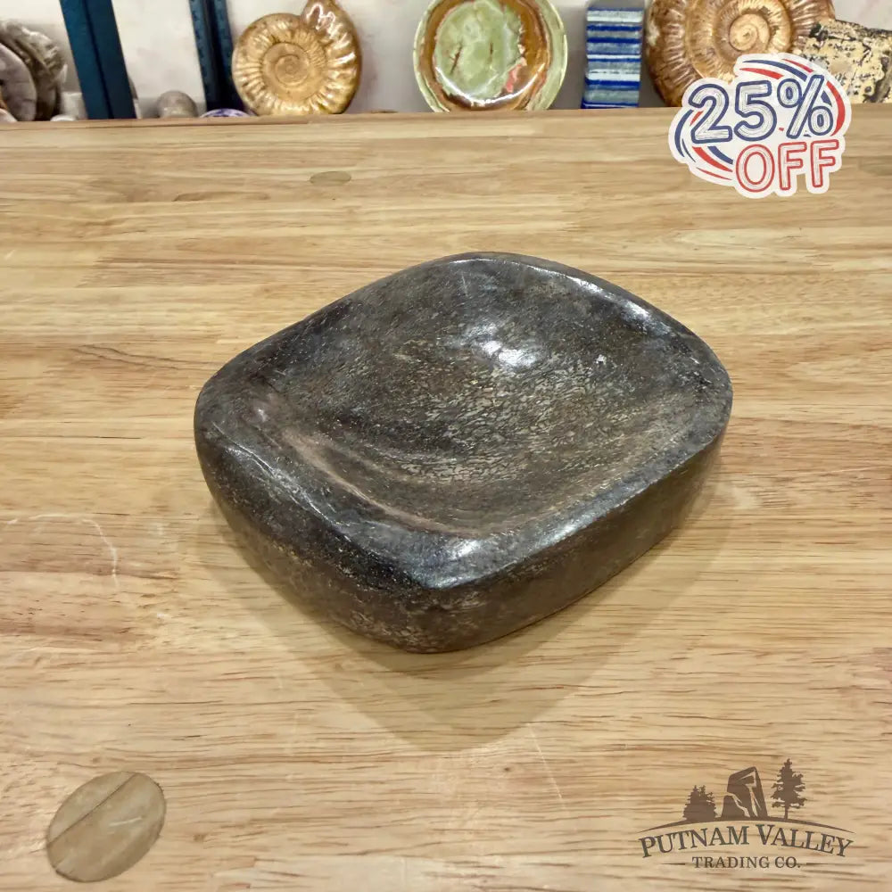 Fossilized Dinosaur Bone Bowl 4.9’’ - Fossil Bowl