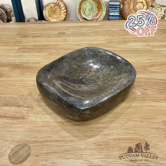 Fossilized Dinosaur Bone Bowl 4.9’’ - Fossil Bowl