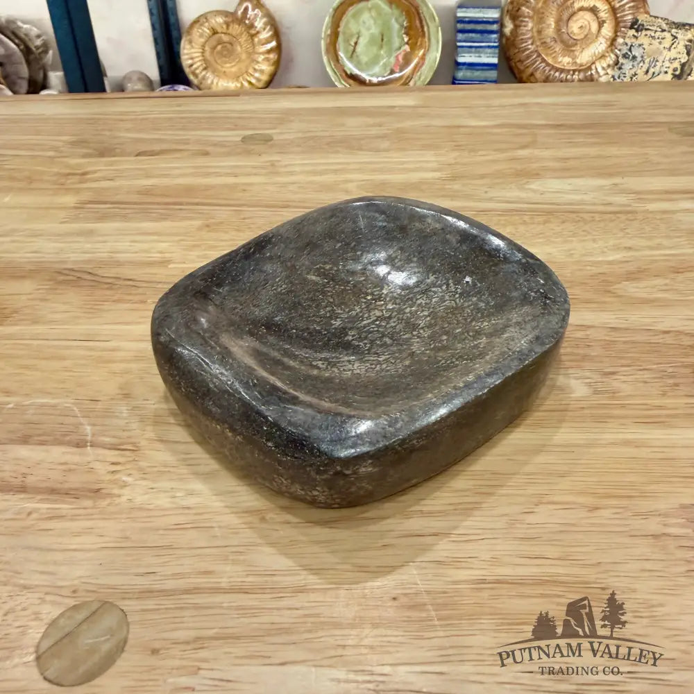 Fossilized Dinosaur Bone Bowl 4.9’’ - Fossil Bowl
