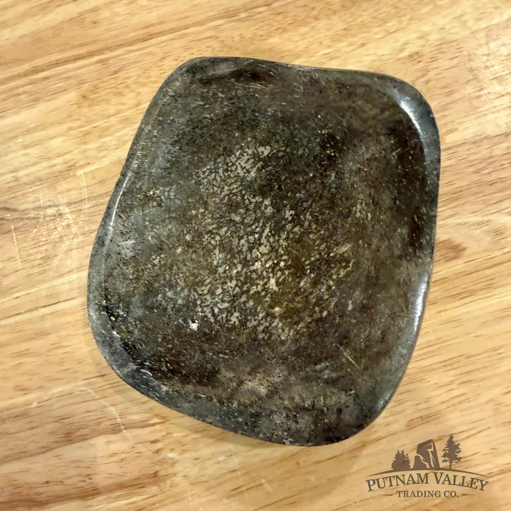Fossilized Dinosaur Bone Bowl 4.9’’ - Fossil Bowl
