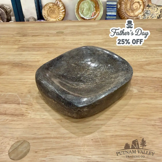 Fossilized Dinosaur Bone Bowl 4.9’’ - Fossil Bowl