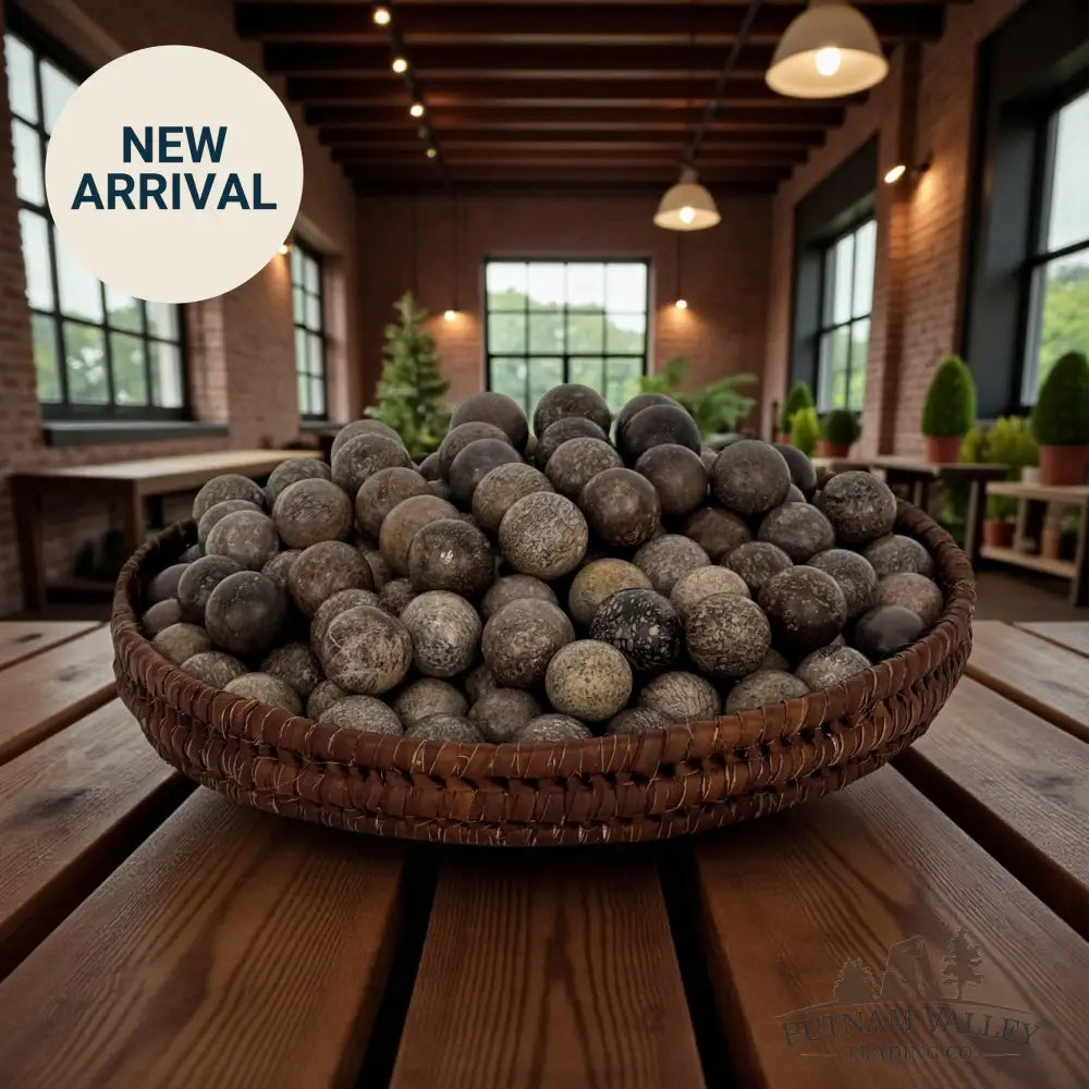 Fossilized Dinosaur Bone Marbles Fossil Sphere