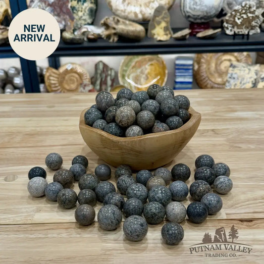 Fossilized Dinosaur Bone Marbles | In Select Sizes - Fossil Sphere