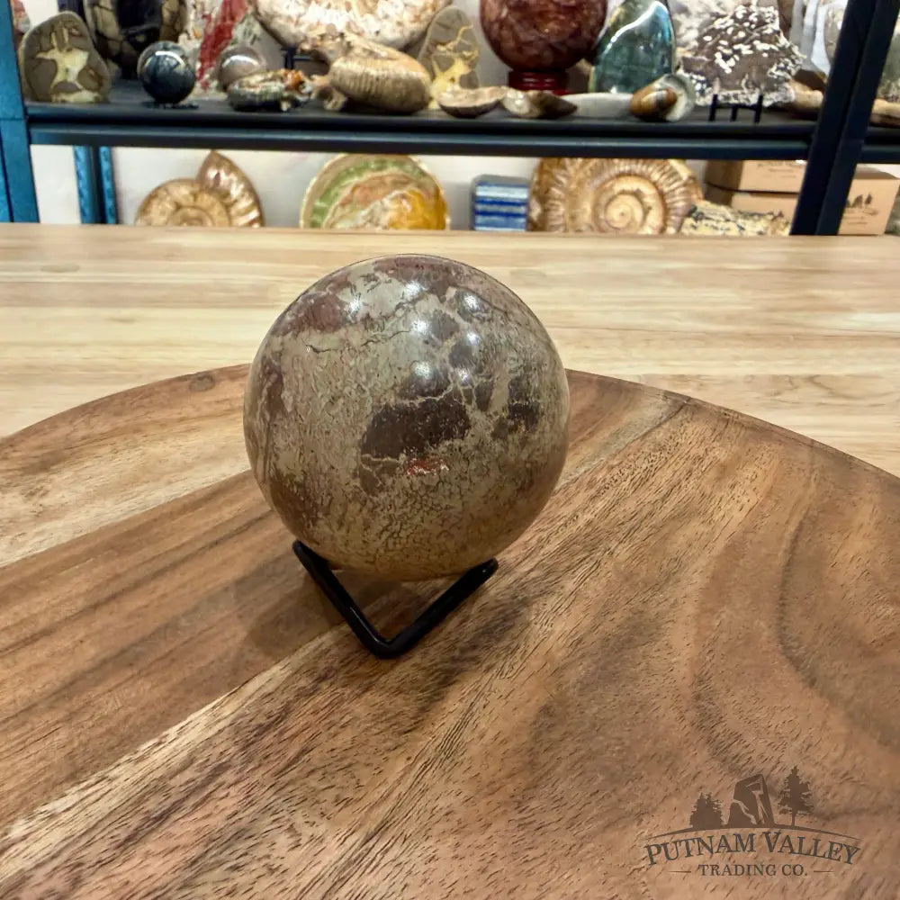 Fossilized Dinosaur Bone Sphere 2.56’’ - Fossil Sphere