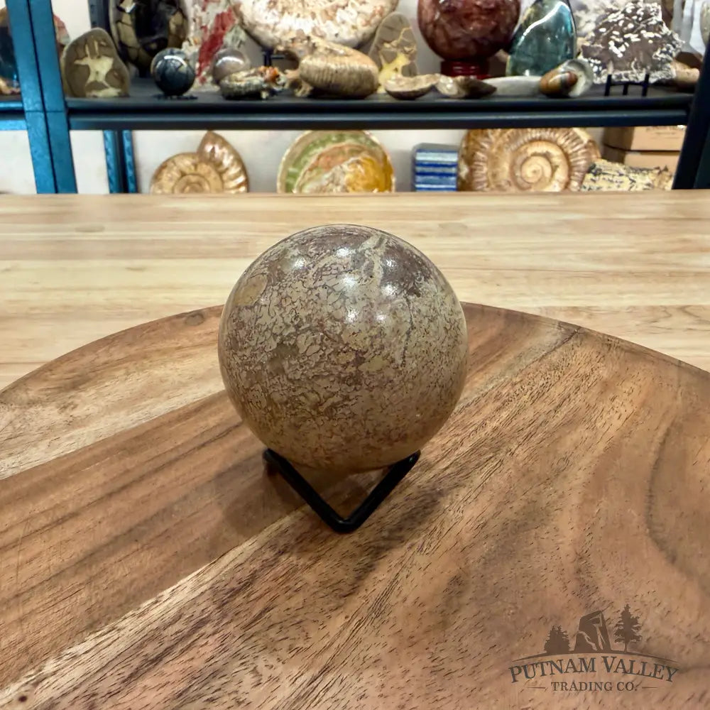 Fossilized Dinosaur Bone Sphere 2.56’’ - Fossil Sphere