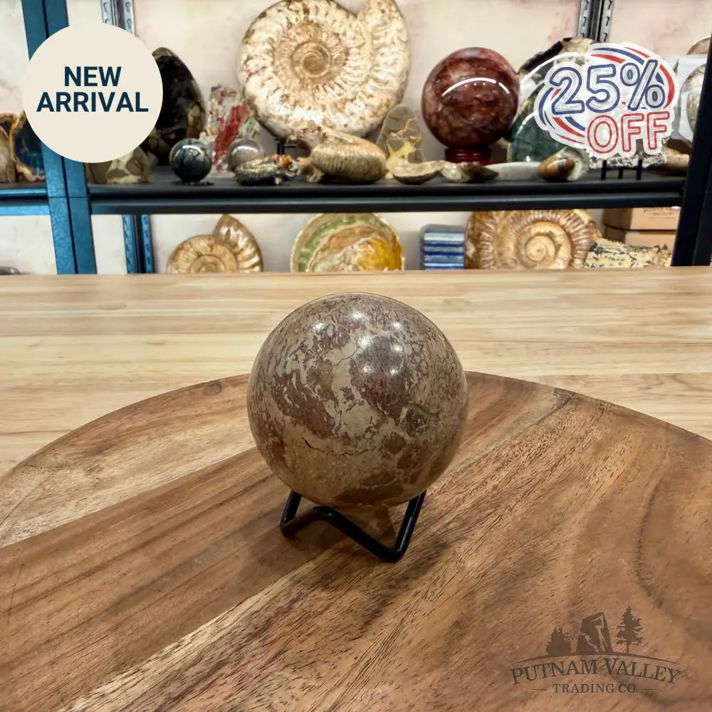 Fossilized Dinosaur Bone Sphere 2.56’’ - Fossil Sphere
