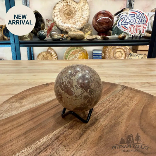 Fossilized Dinosaur Bone Sphere 2.56’’ - Fossil Sphere