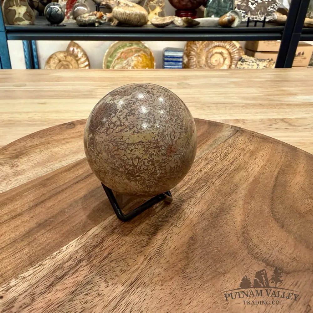 Fossilized Dinosaur Bone Sphere 2.56’’ - Fossil Sphere