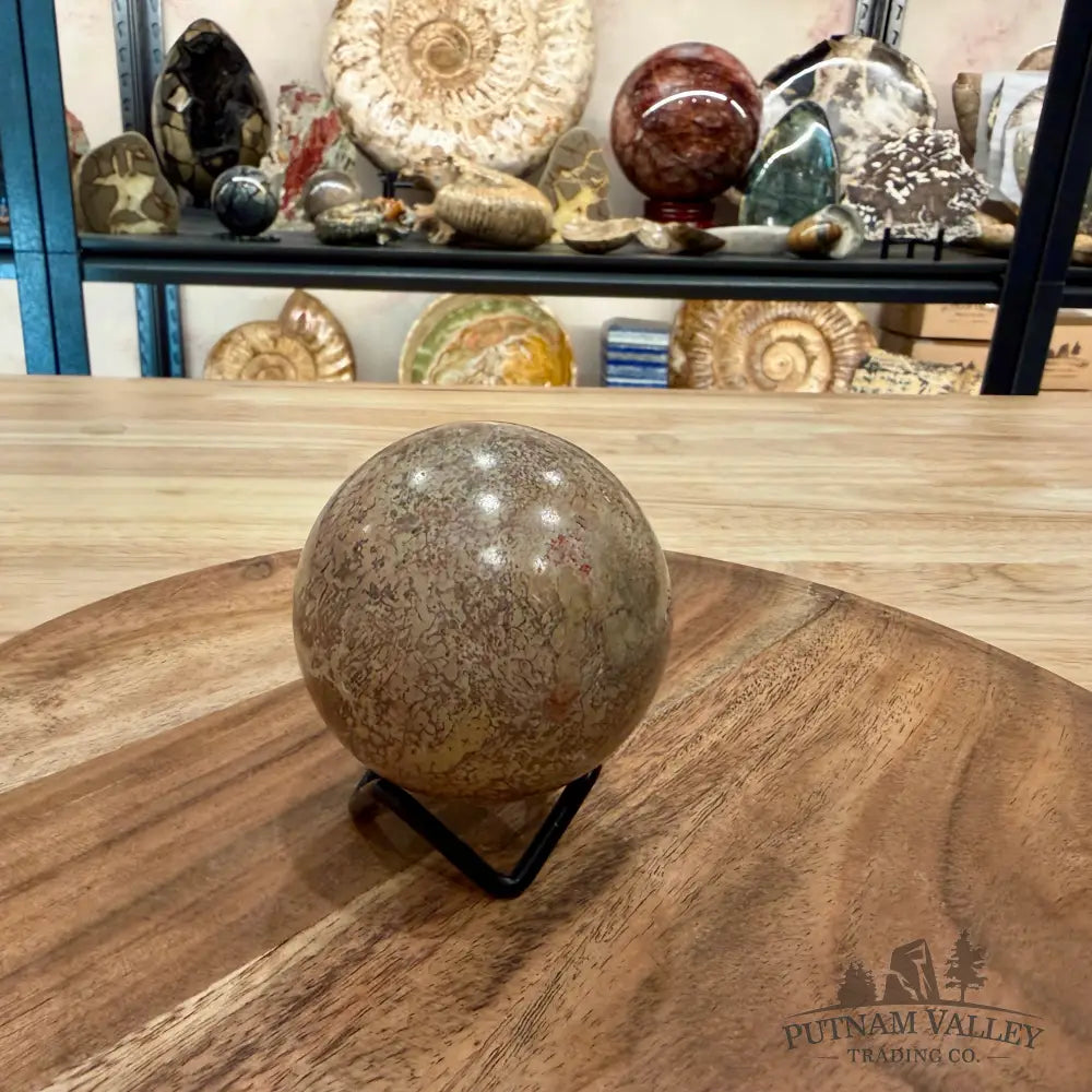 Fossilized Dinosaur Bone Sphere 2.56’’ - Fossil Sphere