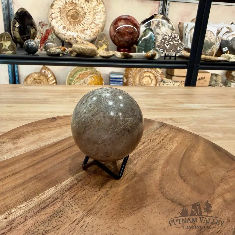 Fossilized Dinosaur Bone Sphere 2.69’’ - Fossil Sphere