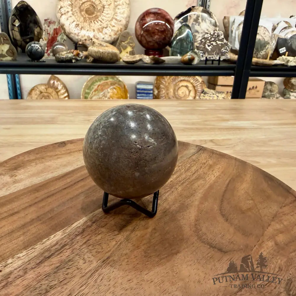 Fossilized Dinosaur Bone Sphere 2.69’’ - Fossil Sphere
