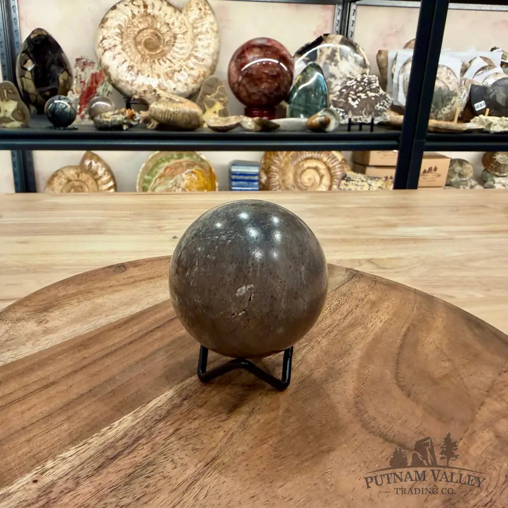 Fossilized Dinosaur Bone Sphere 2.69’’ - Fossil Sphere