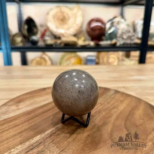 Fossilized Dinosaur Bone Sphere 2.69’’ - Fossil Sphere