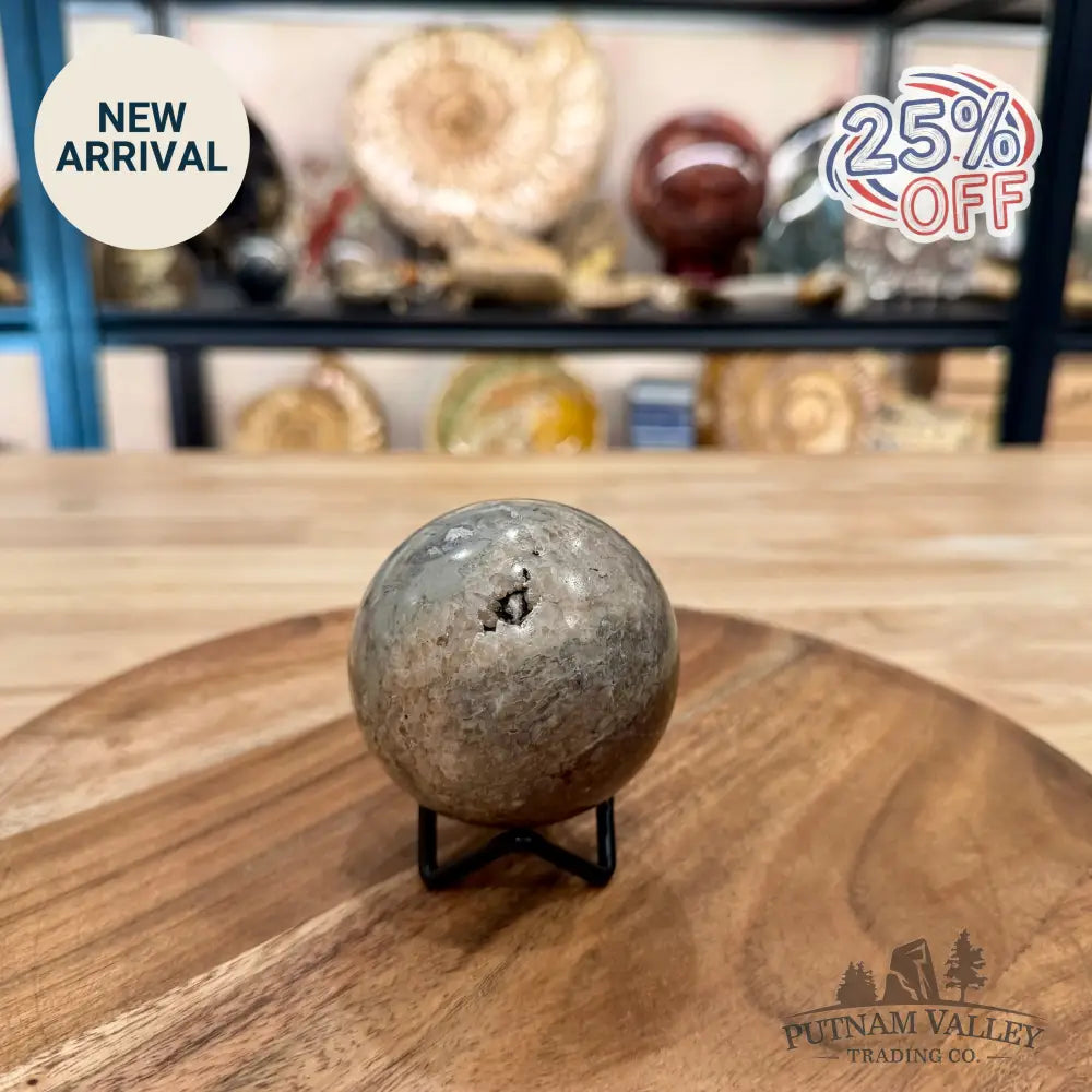 Fossilized Dinosaur Bone Sphere 2.69’’ - Fossil Sphere