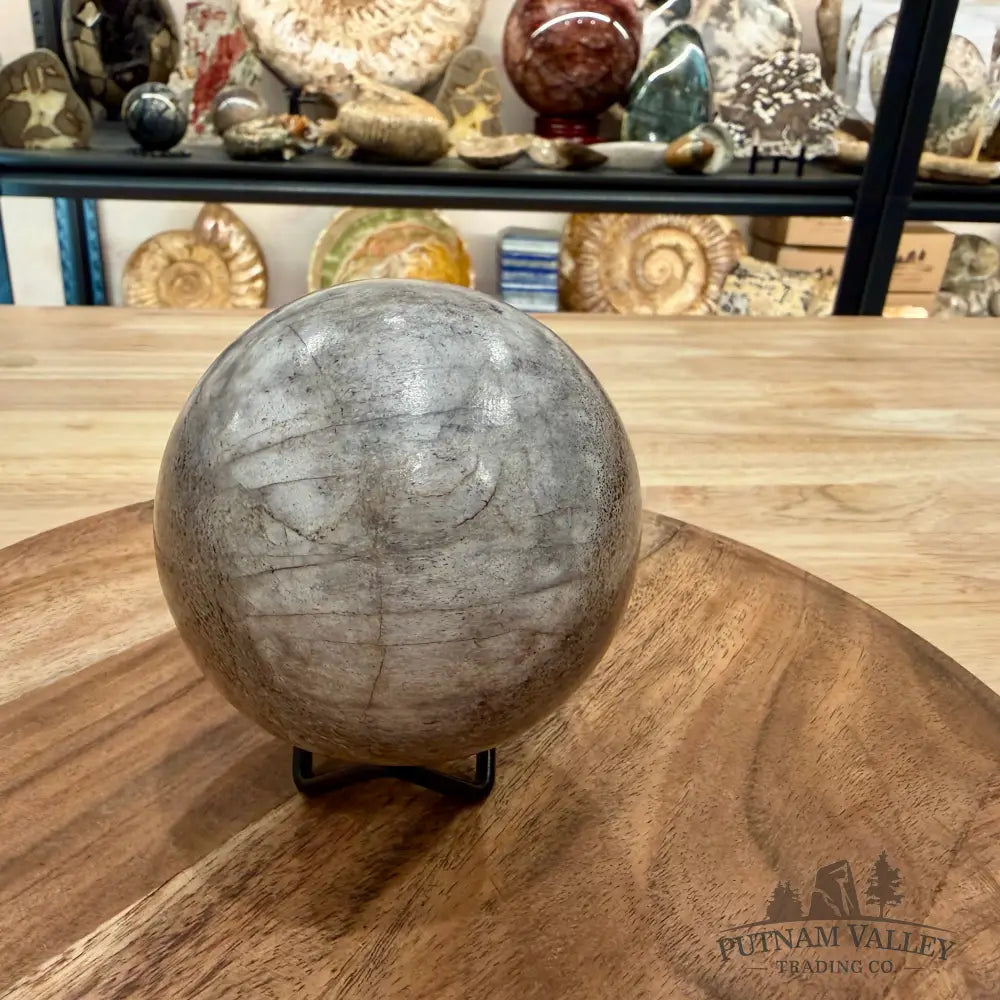 Fossilized Dinosaur Bone Sphere 3.45’’ - Fossil Sphere