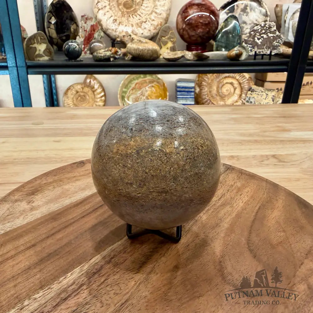 Fossilized Dinosaur Bone Sphere 3.45’’ - Fossil Sphere
