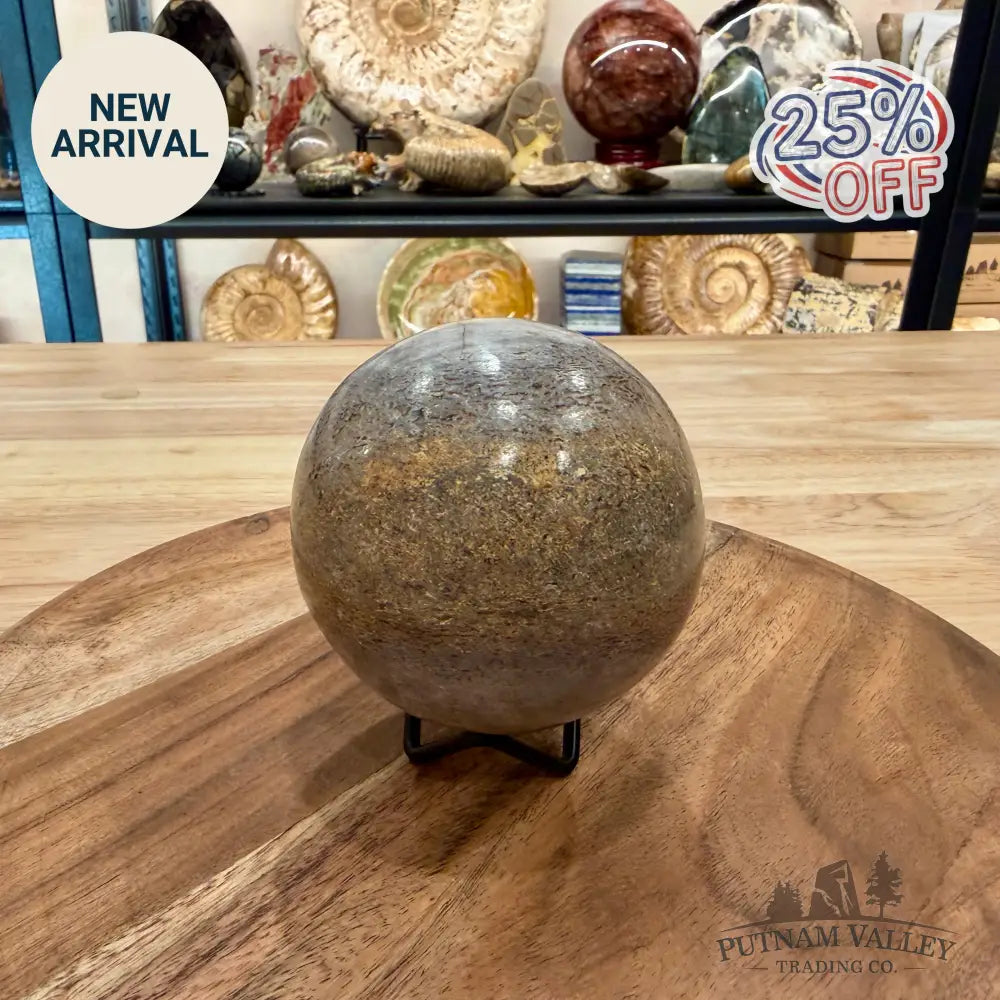 Fossilized Dinosaur Bone Sphere 3.45’’ - Fossil Sphere