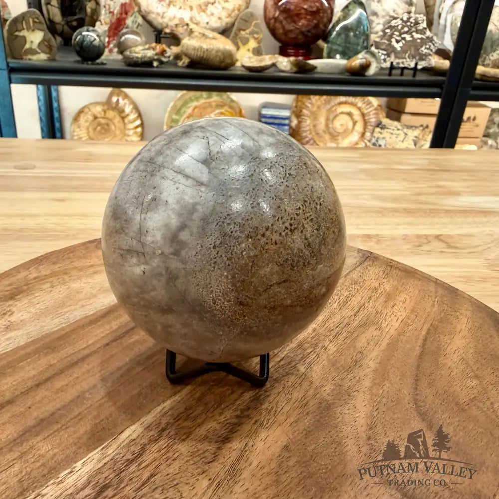Fossilized Dinosaur Bone Sphere 3.45’’ - Fossil Sphere