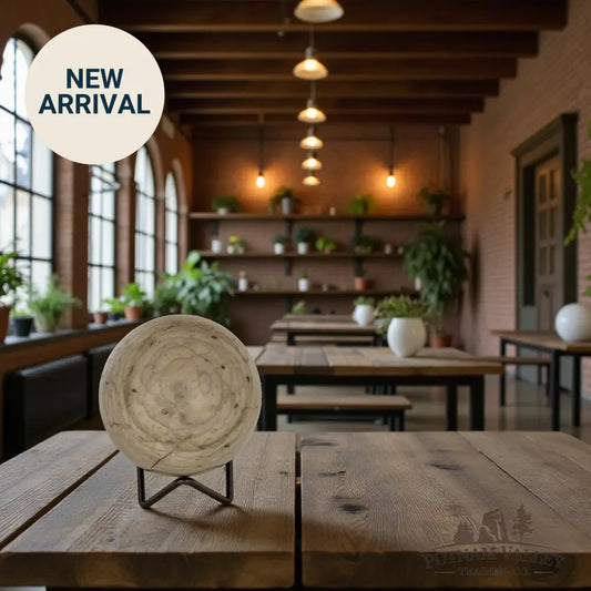 Fossilized Dinosaur Bone Sphere 3.45’’ Fossil Sphere