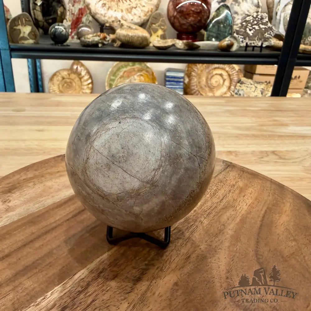 Fossilized Dinosaur Bone Sphere 3.45’’ - Fossil Sphere