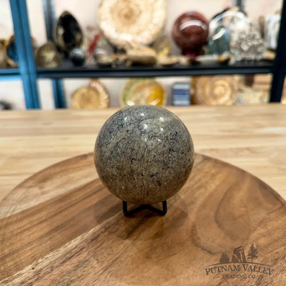 Fossilized Dinosaur Bone Sphere 3.5’’ - Fossil Sphere