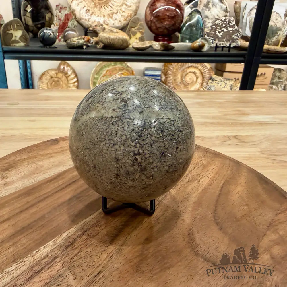 Fossilized Dinosaur Bone Sphere 3.5’’ - Fossil Sphere