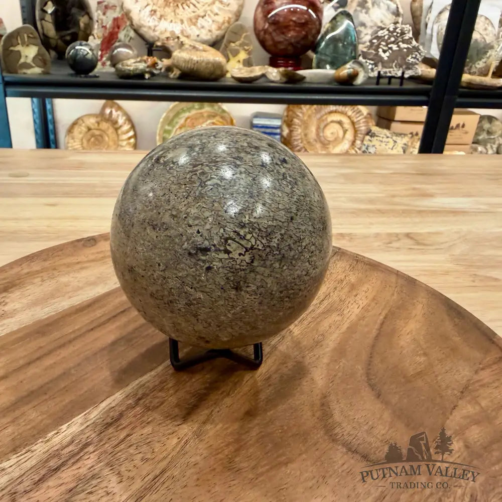 Fossilized Dinosaur Bone Sphere 3.5’’ - Fossil Sphere