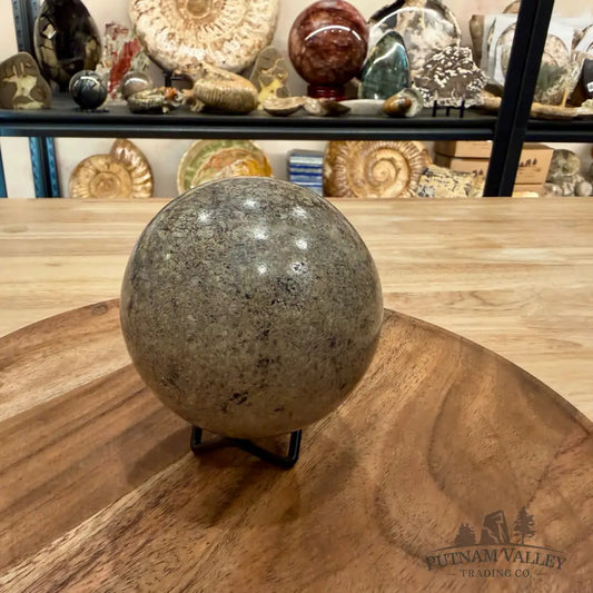Fossilized Dinosaur Bone Sphere 3.5’’ - Fossil Sphere