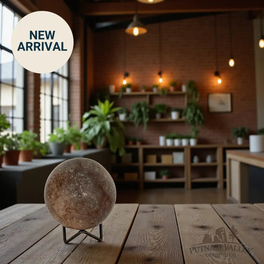 Fossilized Dinosaur Bone Sphere 3.7’’ Fossil Sphere