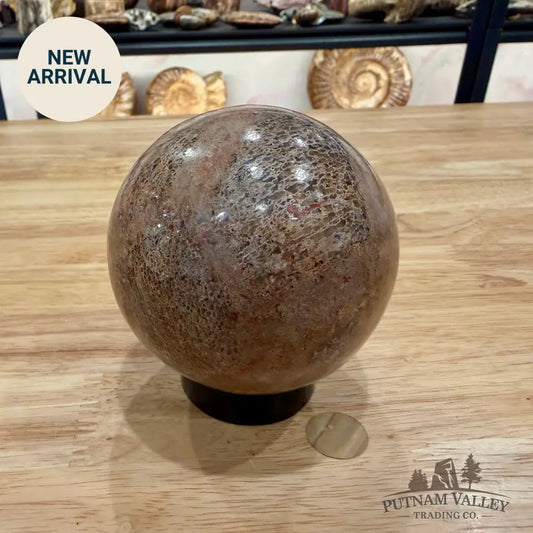 Genuine Fossilized Dinosaur Bone Sphere 3.42’’ Fossil Sphere