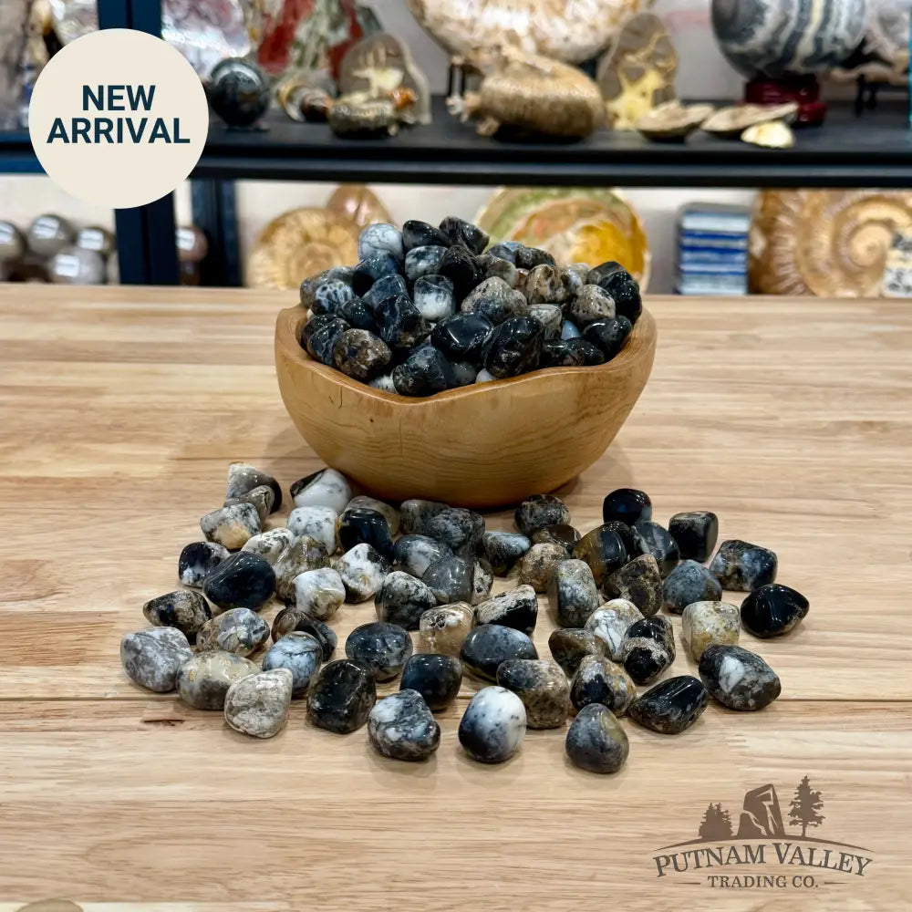Gray Dendritic Agate Tumbles (½ lb) - Tumbled Stone