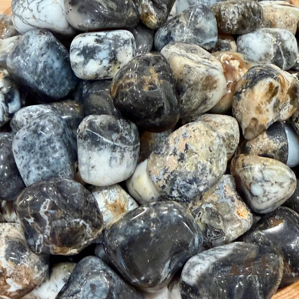 Gray Dendritic Agate Tumbles (½ lb) - Tumbled Stone