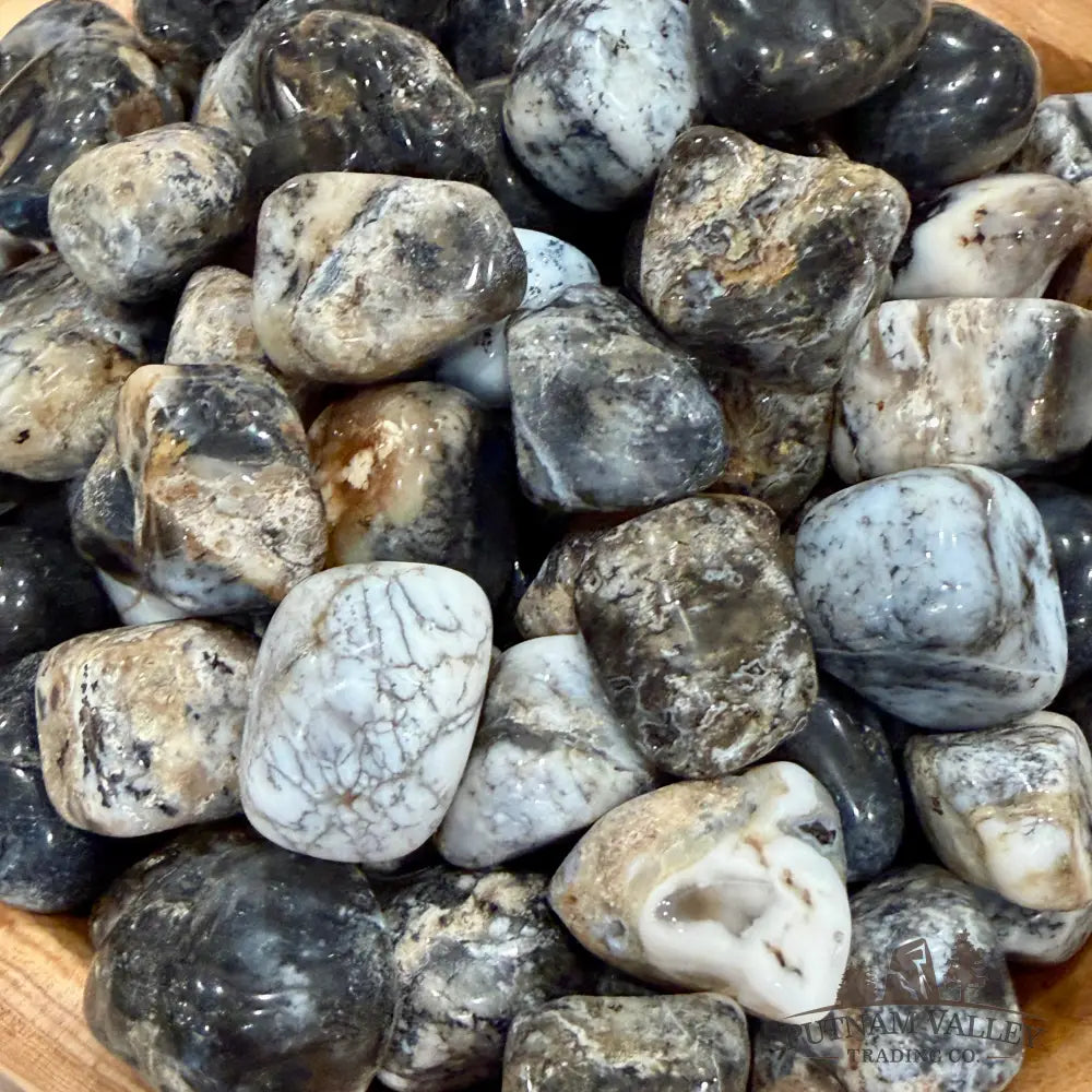 Gray Dendritic Agate Tumbles (½ lb) - Tumbled Stone