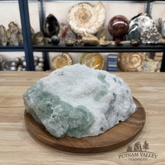 Green Fluorite on White Crystal Matrix Table Accent 10.56’’ | 12lb - Mineral Specimen