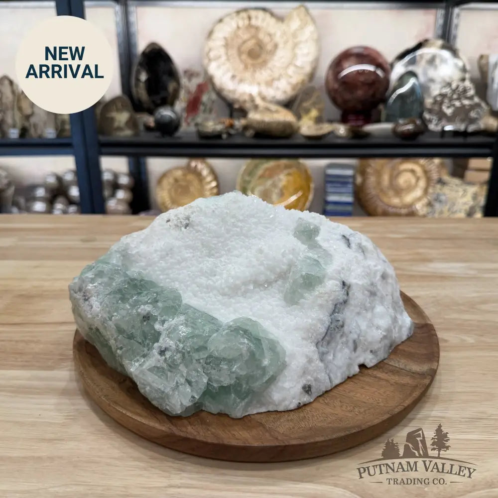 Green Fluorite on White Crystal Matrix Table Accent 10.56’’ | 12lb - Mineral Specimen