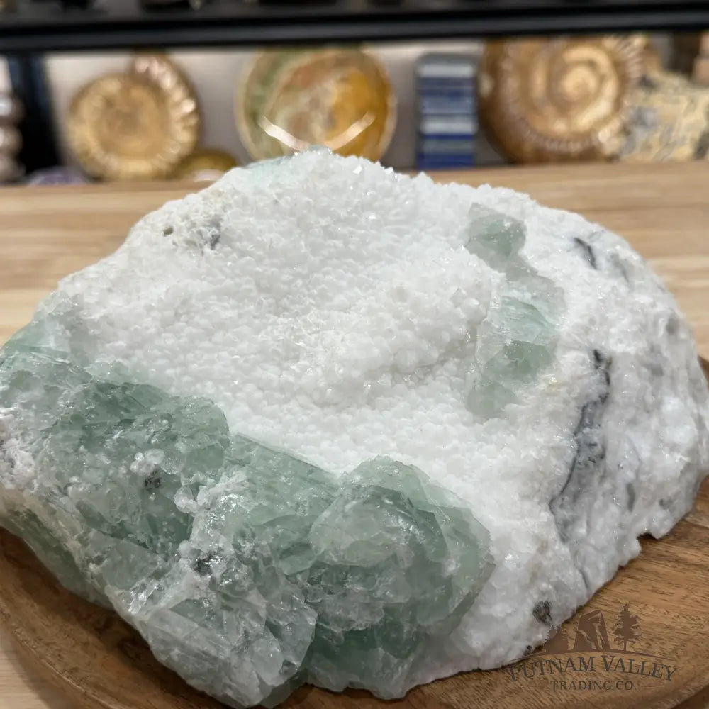 Green Fluorite on White Crystal Matrix Table Accent 10.56’’ | 12lb - Mineral Specimen