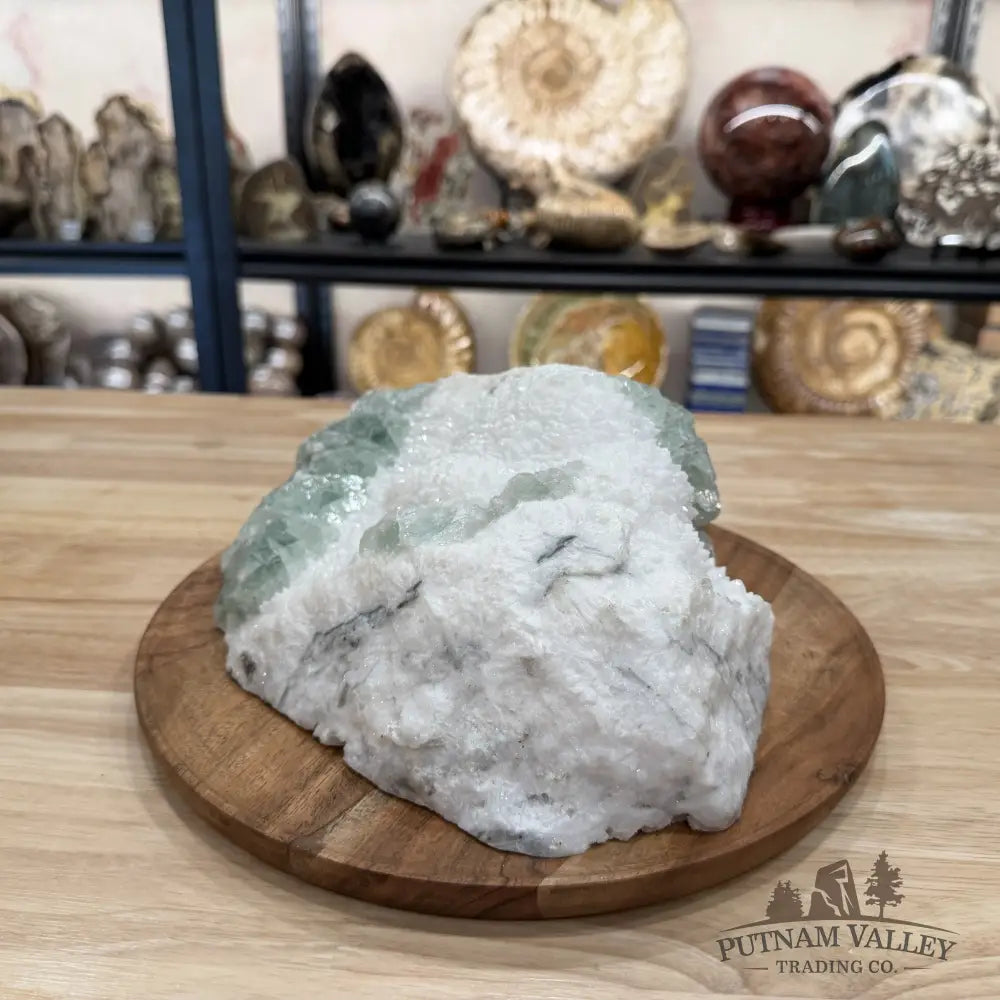 Green Fluorite on White Crystal Matrix Table Accent 10.56’’ | 12lb - Mineral Specimen