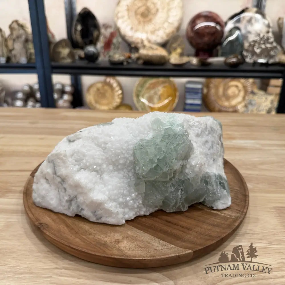 Green Fluorite on White Crystal Matrix Table Accent 10.56’’ | 12lb - Mineral Specimen