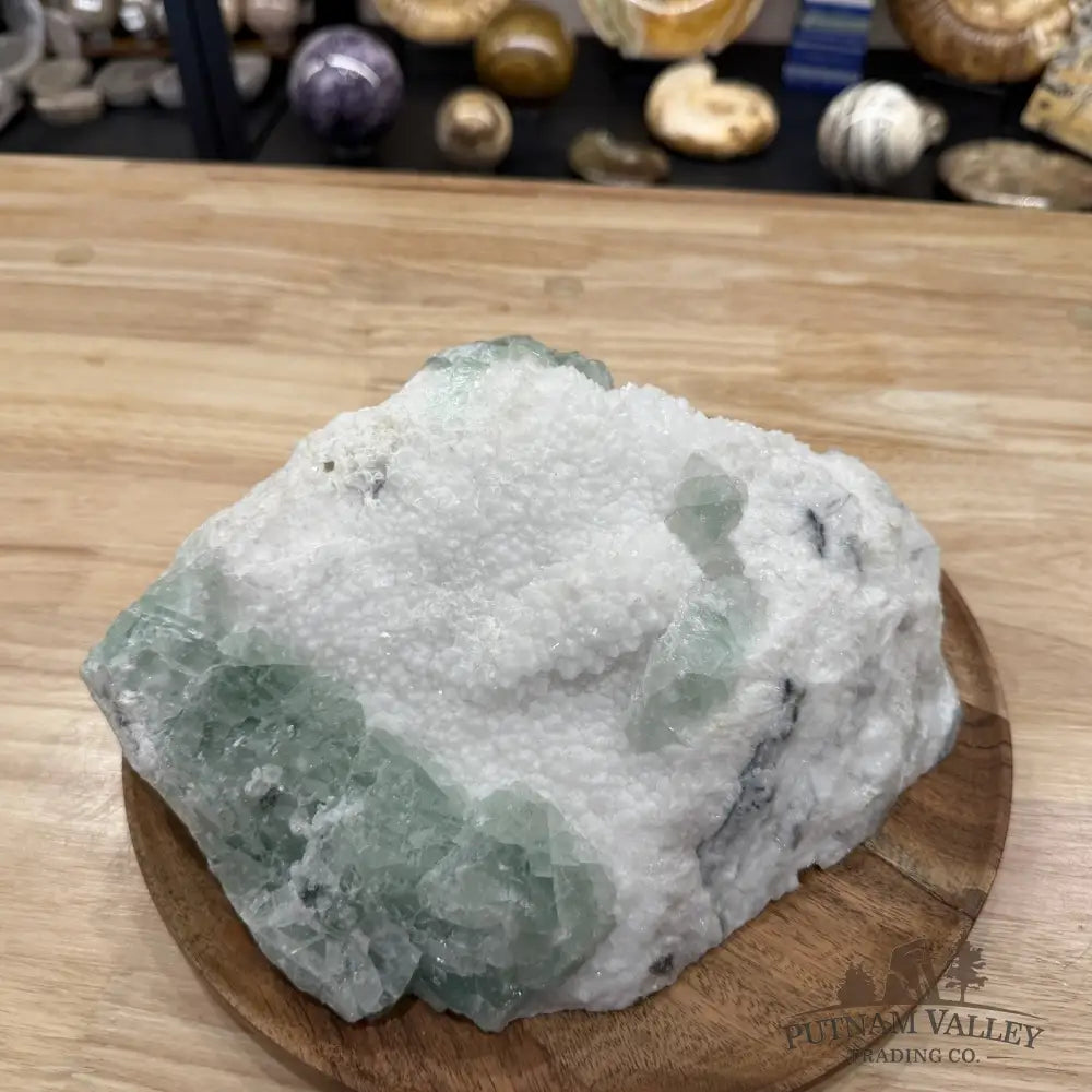 Green Fluorite on White Crystal Matrix Table Accent 10.56’’ | 12lb - Mineral Specimen