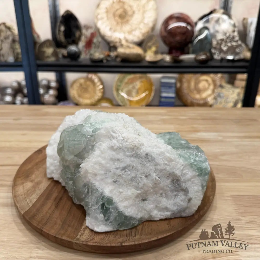 Green Fluorite on White Crystal Matrix Table Accent 10.56’’ | 12lb - Mineral Specimen