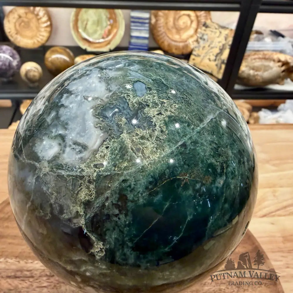 Green Moss Agate Sphere 4.9’’ - Sphere