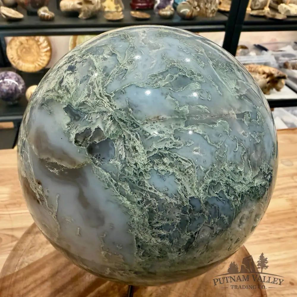 Green Moss Agate Sphere 6.96’’ - Sphere