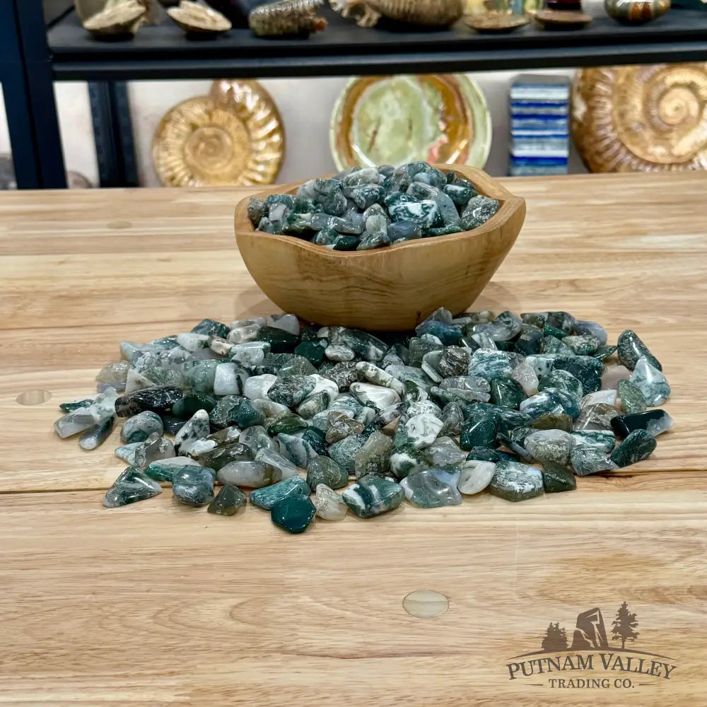 Tumbled Green Moss Agate (½ lb) | Freeform - Tumbled Stone