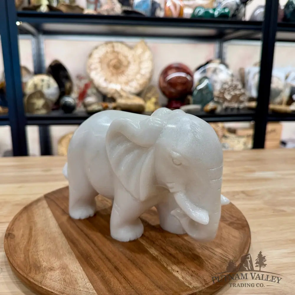 Hand-Carved White Nephrite Jade Elephant | 7.2lb - Sculpture