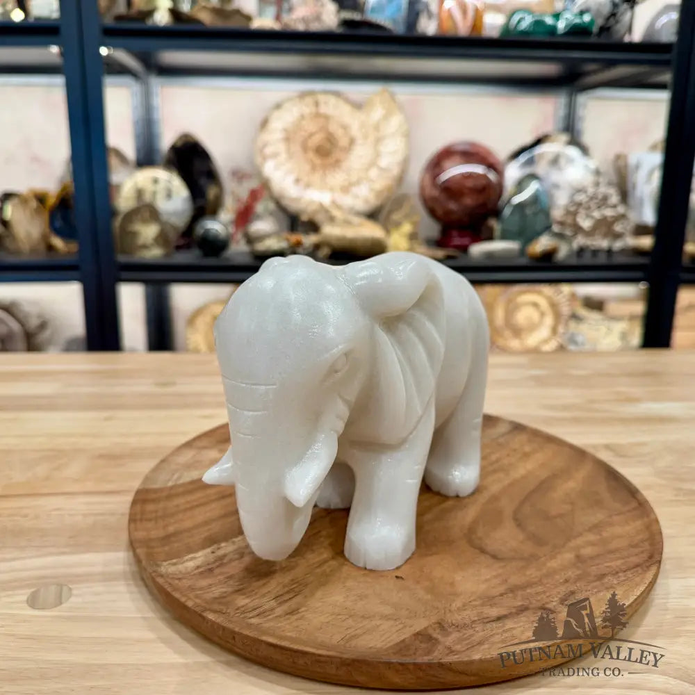 Hand-Carved White Nephrite Jade Elephant | 7.2lb - Sculpture