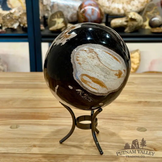 Hand-Carved Indonesian Petrified Wood Sphere 5.8’’ Sphere