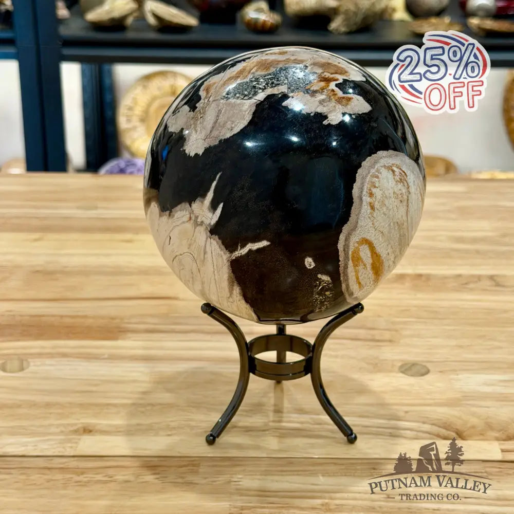 Hand-Carved Indonesian Petrified Wood Sphere 5.8’’ Sphere